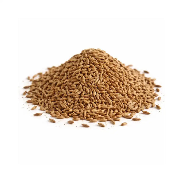 Cumin Seed